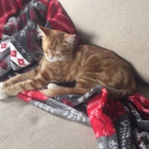 Meet your Posher, Rinatta